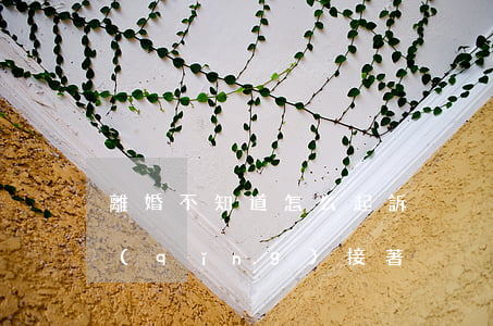 離婚不知道怎么起訴？具體流程請(qǐng)接著！